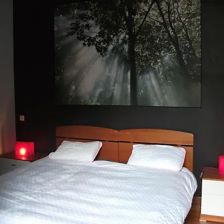 普罗普利特莱斯2号普拉格斯公寓酒店 公寓